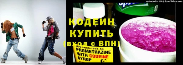 прущие грибы Богданович
