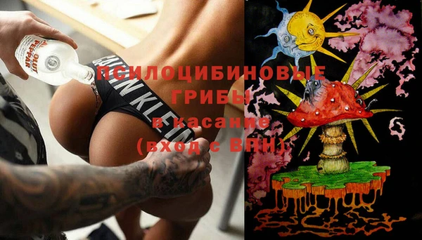 прущие грибы Богданович