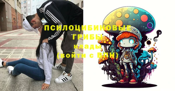 ПСИЛОЦИБИНОВЫЕ ГРИБЫ Беломорск