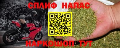молекула духа Беслан