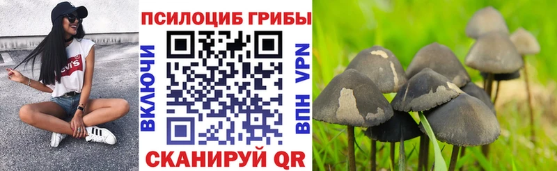 Галлюциногенные грибы прущие грибы  Великий Устюг 